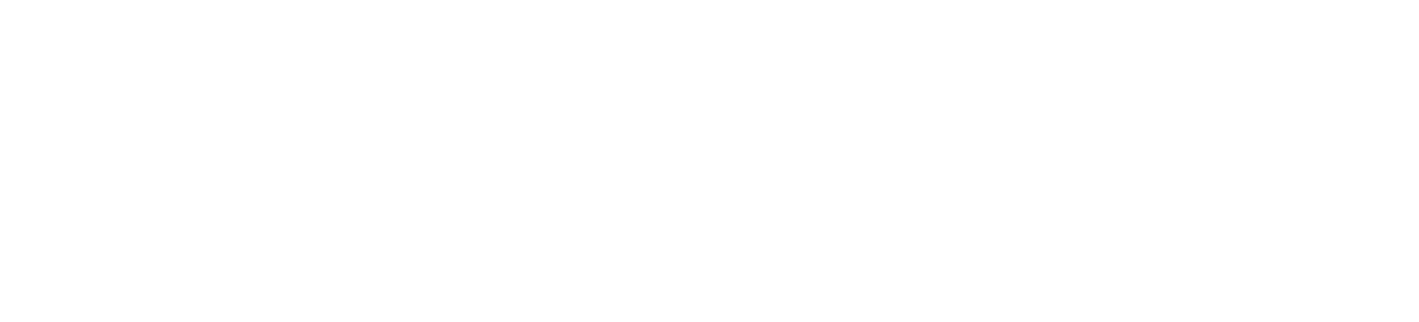 Hoensport